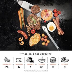 17" Portable Outdoor Griddle
